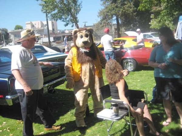 Call the zoo, it's an escaped lion!!