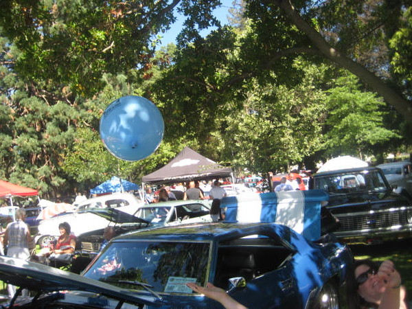 Cars in the Park 2008 110