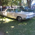 Cars in the Park 2008 133