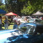 Cars in the Park 2008 150