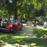 Cars in the Park 2008 159