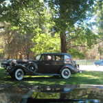 Cars in the Park 2008 161