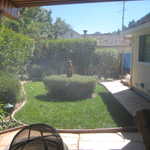 Rich's BBQ 019