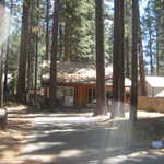 The cabin Sally's family always stayed in when they visited Tahoe.