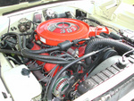 DSCN3028