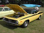 DSCN3029