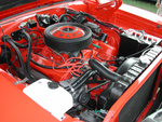 DSCN3044