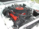 DSCN3046