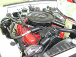 DSCN3050