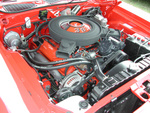 DSCN3061
