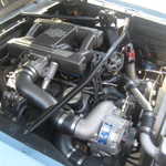 Gearheads 2008 Picnic 007