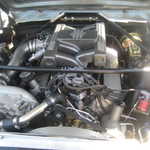 Gearheads 2008 Picnic 008
