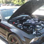 The new Dodge challenger comes to visit. 058