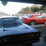 The new Dodge challenger comes to visit. 134