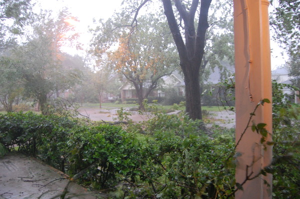 DSC 0783