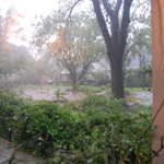 DSC 0783