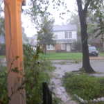 DSC 0784