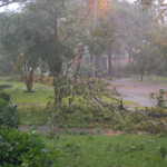 DSC 0789