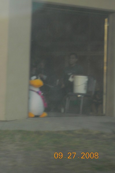Sneaky Penguin.