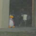 Sneaky Penguin.