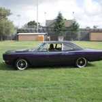 My roadrunner looks good on the grass!