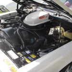 H2H 2008 257