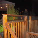 Adam's party 010