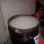 Holloween 2008 052