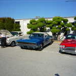 RayTana Toy and Food Drive 040