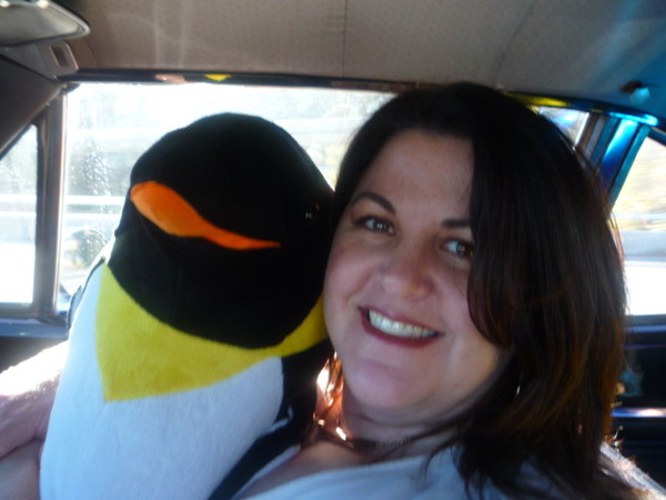 The ride down i uneventful except for a picture hogging penguin.