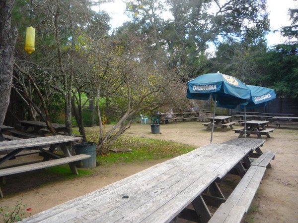 Welcome to the beer gardens unchanged since 1848.