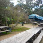Welcome to the beer gardens unchanged since 1848.
