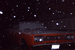 03-Photo 3.jpg