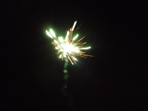 NYE 2008 026