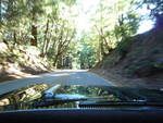 Highlight for Album: Come with us on a fun Sunday morning ride thru the redwoods and out to the Pacific ocean.