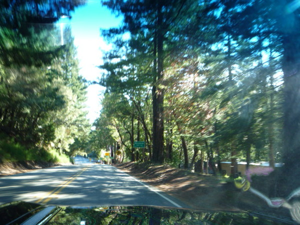 Riding to the redwoods 004