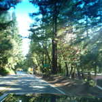 Riding to the redwoods 004