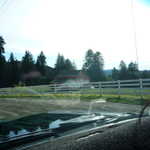 Riding to the redwoods 016