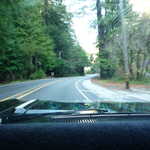 Riding to the redwoods 020