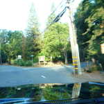 West coast Gearheads picnic 209 008