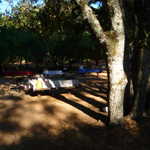 West coast Gearheads picnic 209 014