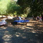 West coast Gearheads picnic 209 021