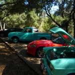 West coast Gearheads picnic 209 024