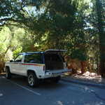 West coast Gearheads picnic 209 025