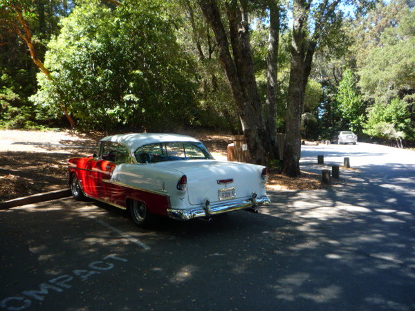 West coast Gearheads picnic 209 055