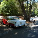 West coast Gearheads picnic 209 055