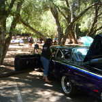 West coast Gearheads picnic 209 059