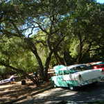 West coast Gearheads picnic 209 065