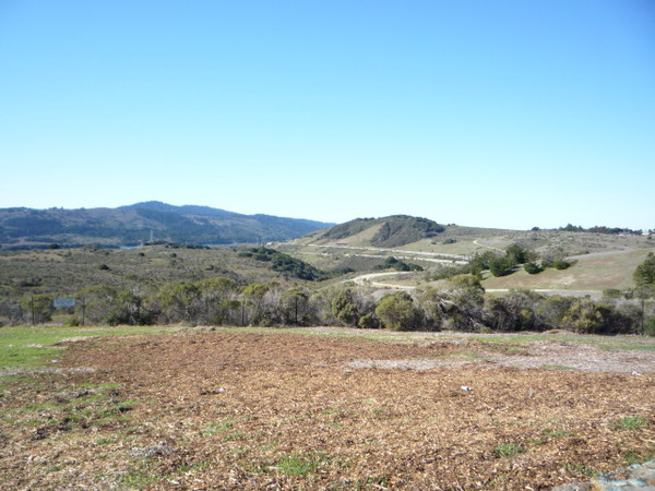 On the way let's stop at a vista point in San Carlos.