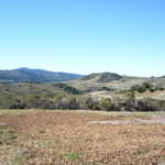 On the way let's stop at a vista point in San Carlos.